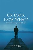 Ok Lord, Now What? (eBook, ePUB)
