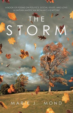 Cover The Storm (eBook, ePUB)