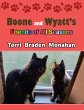 Boone and Wyatt's Friends of All... - Bild 1
