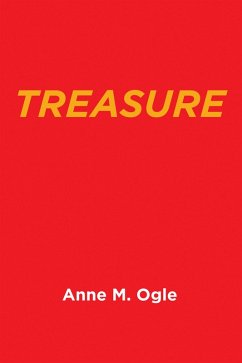 Cover Treasure (eBook, ePUB)