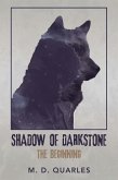 Shadow of Darkstone (eBook, ePUB)