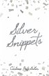 Silver Snippets (eBook, ePUB) - Bild 1