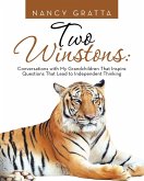 Two Winstons (eBook, ePUB)