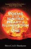 Poems of the Ignited Heart & Illumination of the One (eBook, ePUB)