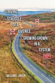 Striving Struggle of a Juvenile "Growing Grown" in a System (eBook, ePUB)