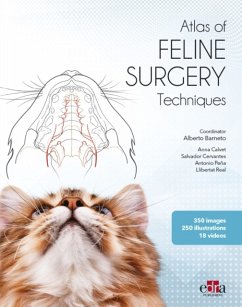Feline surgery - Barneto, Alberto; Calvet, Anna; Cervantes, Salvador
