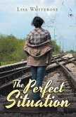 The Perfect Situation (eBook, ePUB)