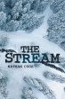 The Stream (eBook, ePUB) - Bild 1