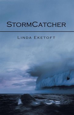 Cover Stormcatcher (eBook, ePUB)