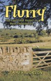 Flurry (eBook, ePUB)