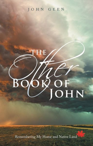 The Other Book of John (eBook, ePUB) The Other Book of John (eBook, ePUB)