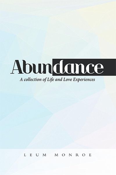 Abundance (eBook, ePUB)