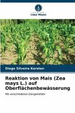 Reaktion von Mais (Zea mays L.) auf Oberflächenbewässerung