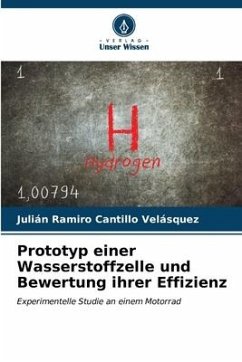 Prototyp einer Wasserstoffzelle und Bewertung ihrer Effizienz - Cantillo Velásquez, Julián Ramiro