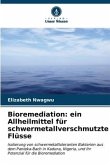 Bioremediation: ein Allheilmittel für schwermetallverschmutzte Flüsse