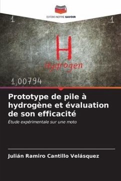 Prototype de pile à hydrogène et évaluation de son efficacité - Cantillo Velásquez, Julián Ramiro