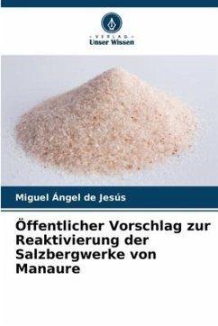Öffentlicher Vorschlag zur Reaktivierung der Salzbergwerke von Manaure - Ángel de Jesús, Miguel