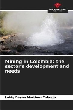 Mining in Colombia: the sector's development and needs - Martinez Cabrejo, Leidy Dayan