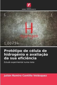 Protótipo de célula de hidrogénio e avaliação da sua eficiência - Cantillo Velásquez, Julián Ramiro