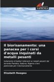 Il biorisanamento: una panacea per i corsi d'acqua inquinati da metalli pesanti