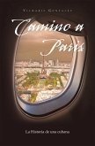 Camino a Paris (eBook, ePUB)