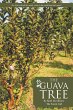 The Guava Tree (eBook, ePUB) - Bild 1