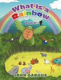 What Is a Rainbow (eBook, ePUB)