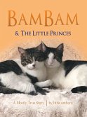 Bambam & the Little Princes (eBook, ePUB)