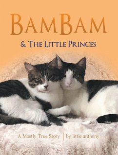 Bambam & the Little Princes (eBook, ePUB) - Anthony, Little