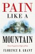 Pain Like a Mountain (eBook, ePUB) - Bild 1