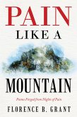 Pain Like a Mountain (eBook, ePUB)