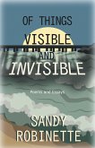 Of Things Visible and Invisible (eBook, ePUB)