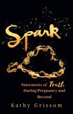 Spark (eBook, ePUB)