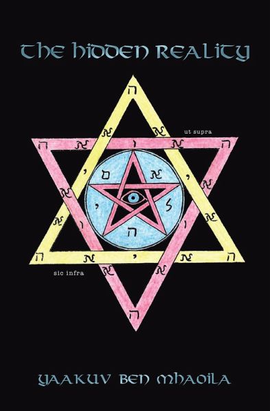 The Hidden Reality (eBook, ePUB)