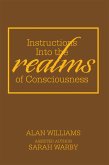 Instructions into the Realms of Consciousness (eBook, ePUB)