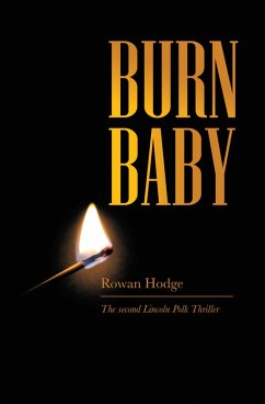 Cover Burn Baby (eBook, ePUB)