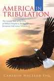 America in Tribulation (eBook, ePUB)