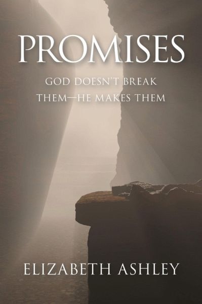 Promises (eBook, ePUB)