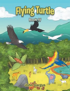 Cover Flying Turtle (eBook, ePUB)