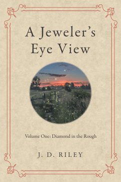 Cover A Jeweler's Eye View (eBook, ePUB)