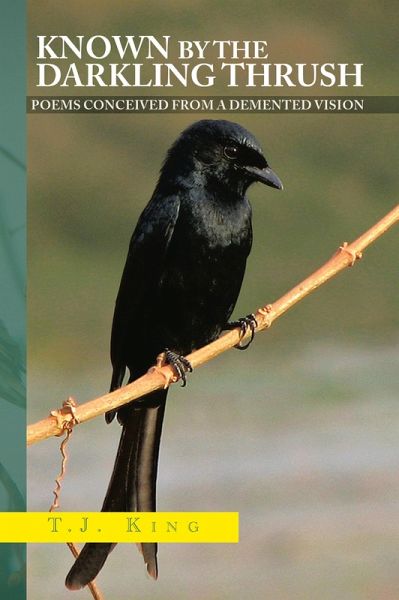 Known by the Darkling Thrush (eBook, ePUB)