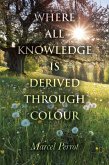 Where All Knowledge Is Derived Through Colour (eBook, ePUB)