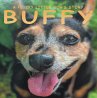 Buffy (eBook, ePUB) - Bild 1