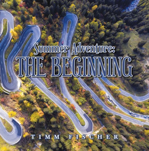 Summer Adventure: the Beginning (eBook, ePUB)