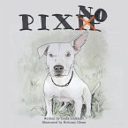 Pixno! (eBook, ePUB)