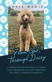 From God, Through Daisy (eBook, ePUB)