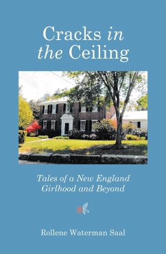 Cracks in the Ceiling (eBook, ePUB)