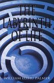 The Labyrinth of Life (eBook, ePUB)