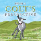 From a Colt's Perspective (eBook, ePUB)