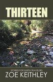 Thirteen (eBook, ePUB)